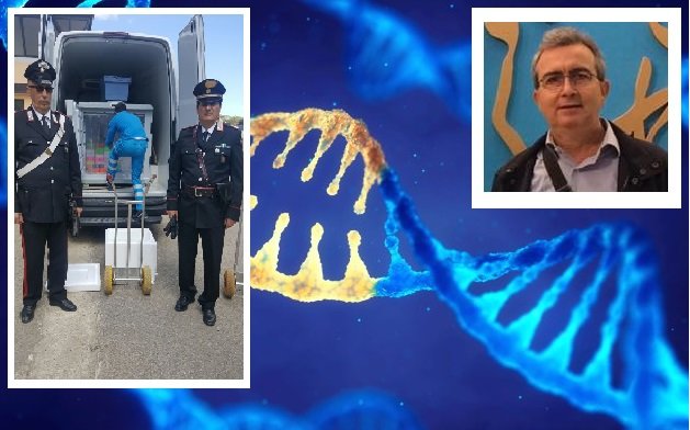 Biagio Mazzeo Dna