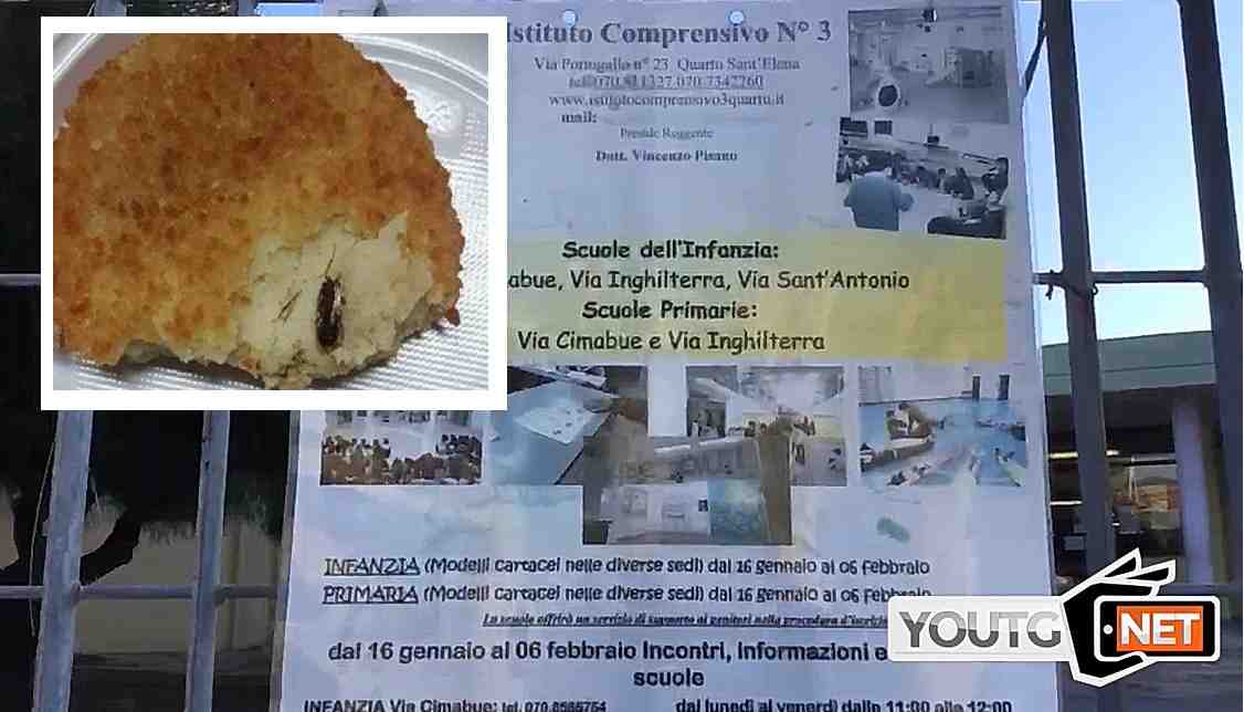 Blatta Nel Cibo Della Scuola Di Quartu