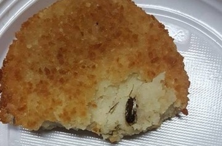 Blatta Nella Mensa Dei Bambini GRANDE