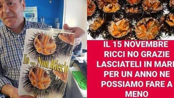 Campagna Ricci 2