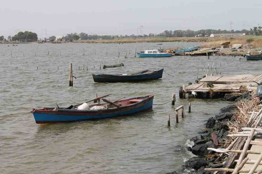Cozze Santa Gilla Uno