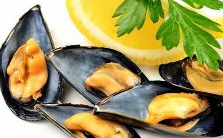 Cozze C