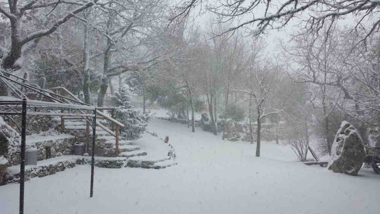 Fonni Neve