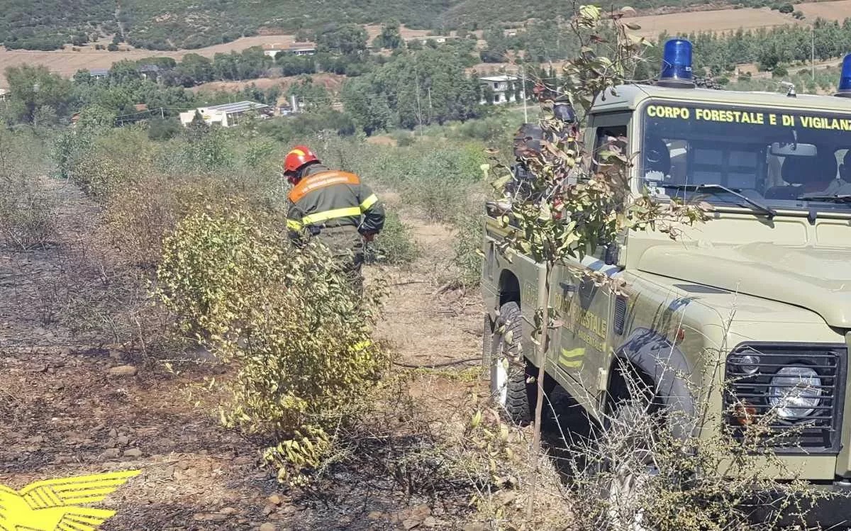 Forestan Incendi tra Villasor, San Sperate, Monastir e Decimo: beccato il presunto piromane