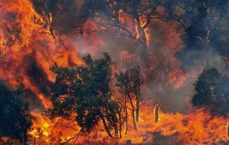 Incendi, al via i Gemellaggi Aib: oltre 200 volontari da tutta Italia in Sardegna per l'estate 2026