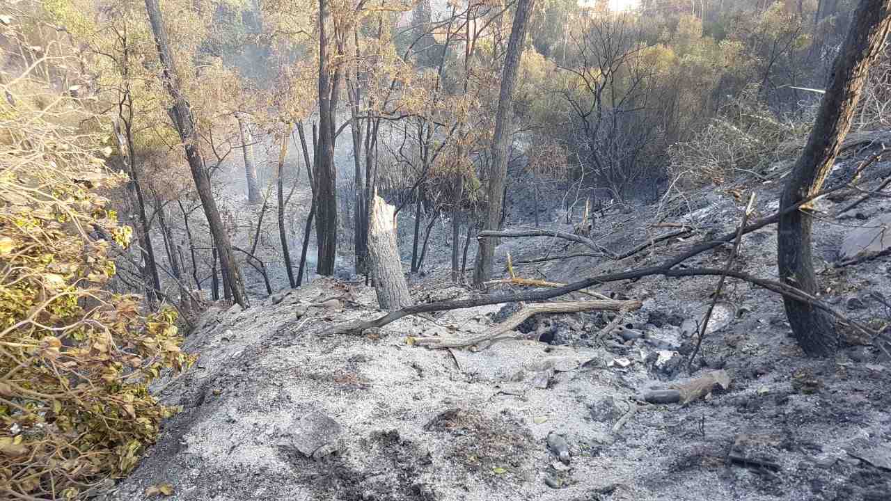 Incendio Iglesias Cenere