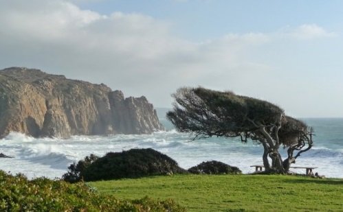 Maestrale In Sardegna