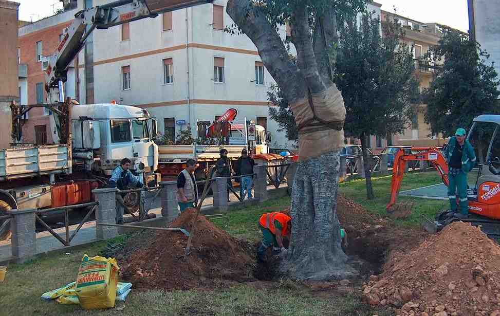 Manutenzione Verde Pubblico Cagliari