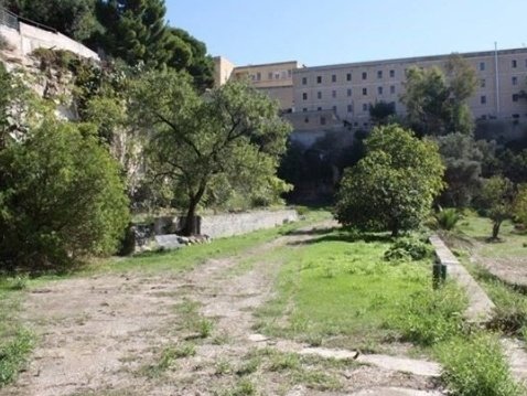 OrtoCappuccini 2014 D0