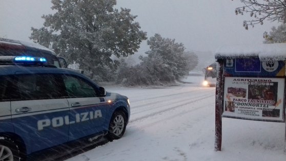 Polizia Neve Fonni