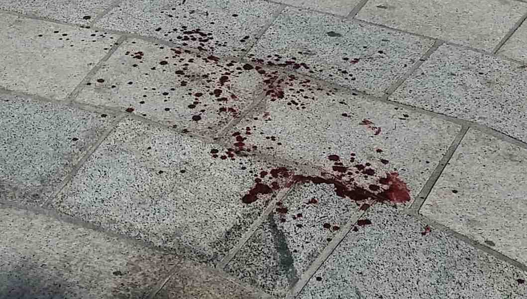 Rissa Alla Marina Sangue