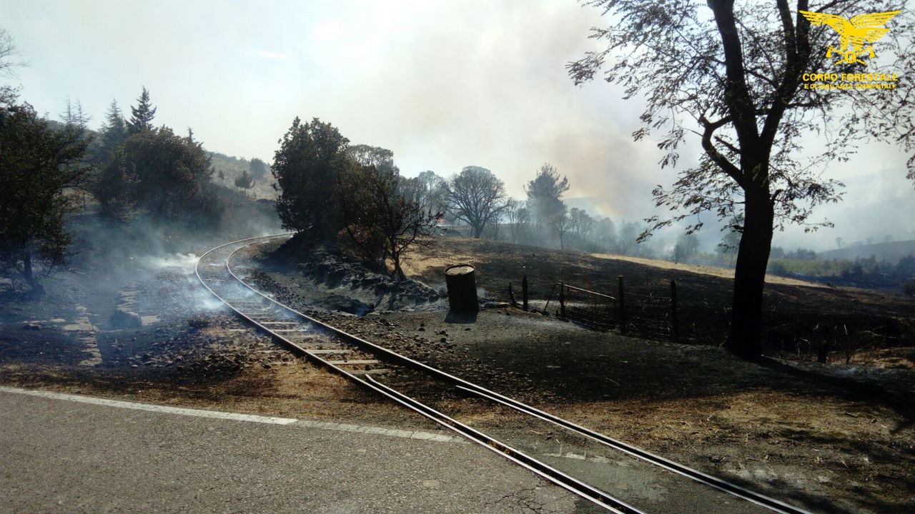 Sadali Incendio