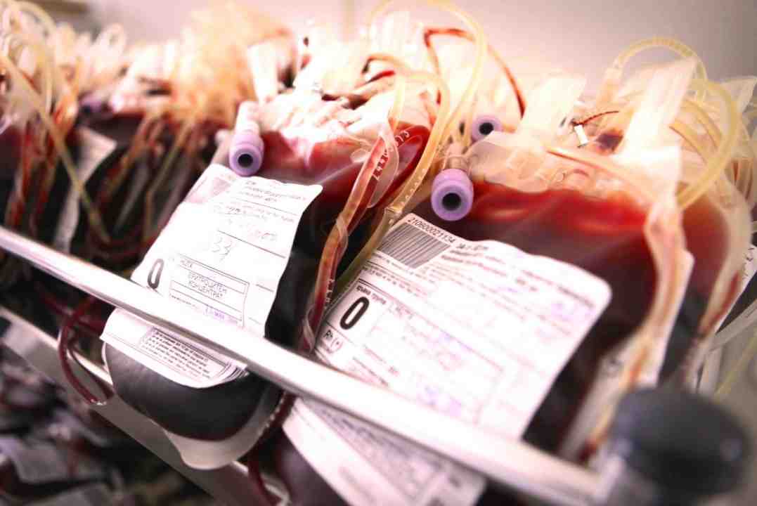Sangue Infetto