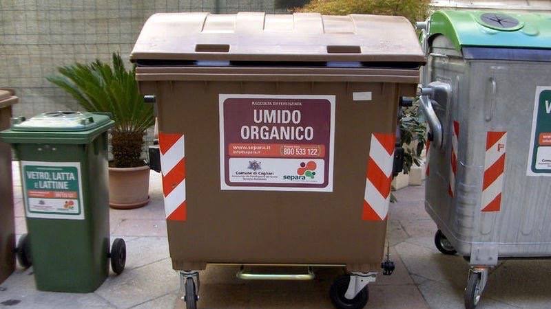 Spazzatura Cassonetto