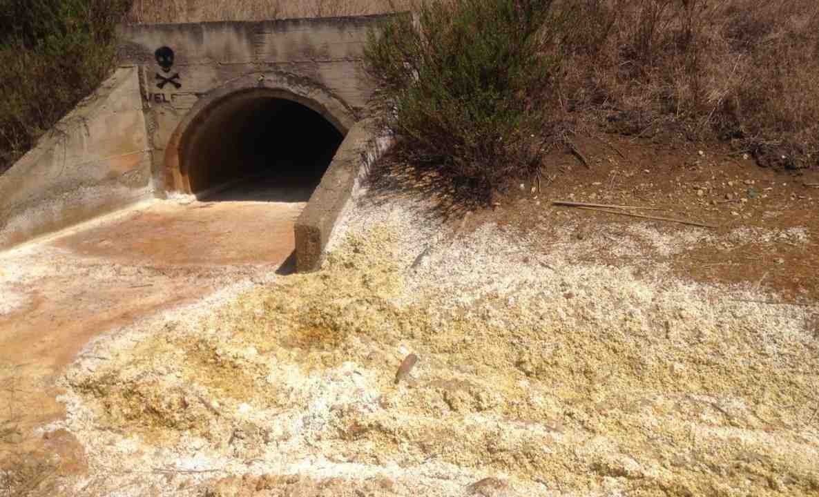 Veleni Carlo Felice 131 Sardara Sanluri  Tagliata