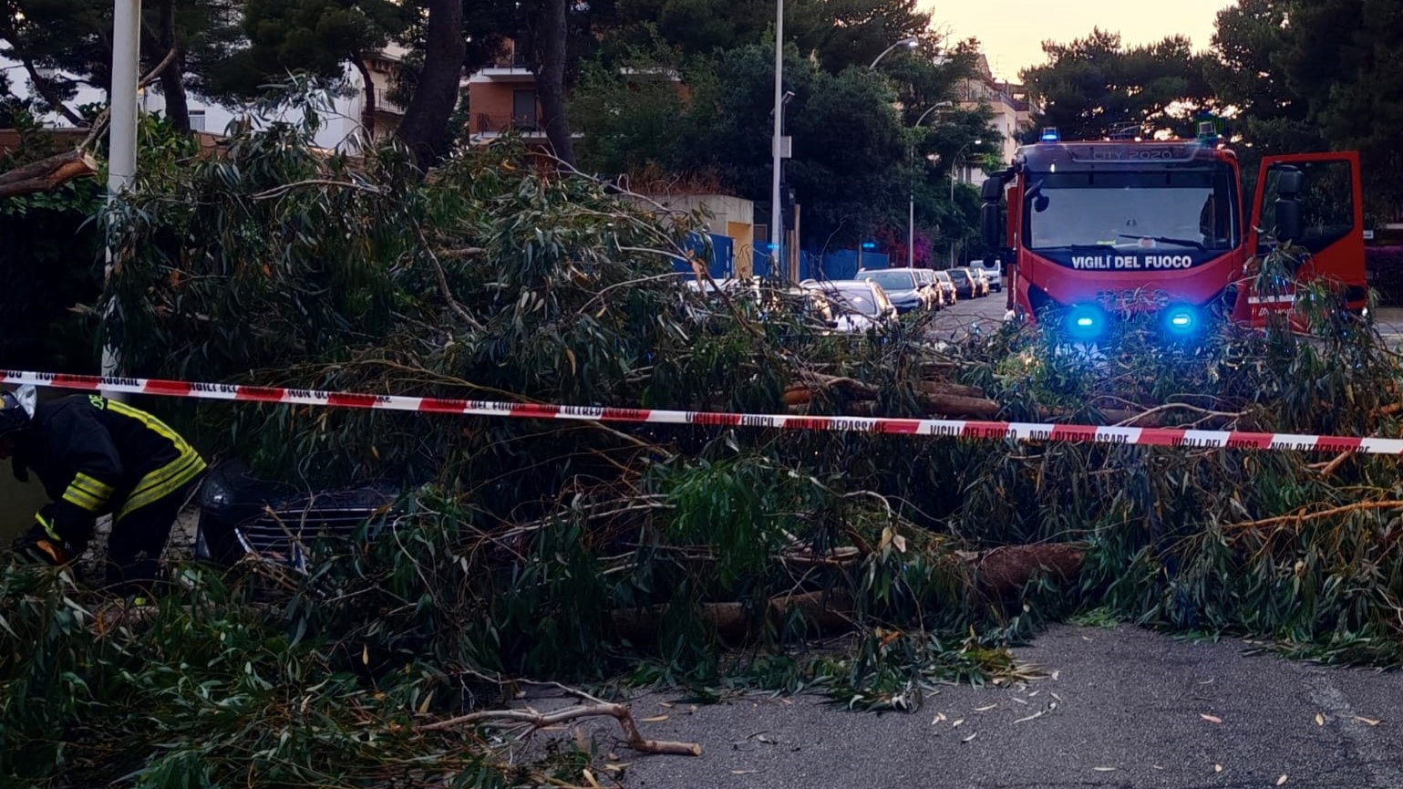 WhatsApp Image 2026 06 09 At 22.25.41 Cagliari, albero cade su un'auto ma dentro c'era una donna: portata in ospedale