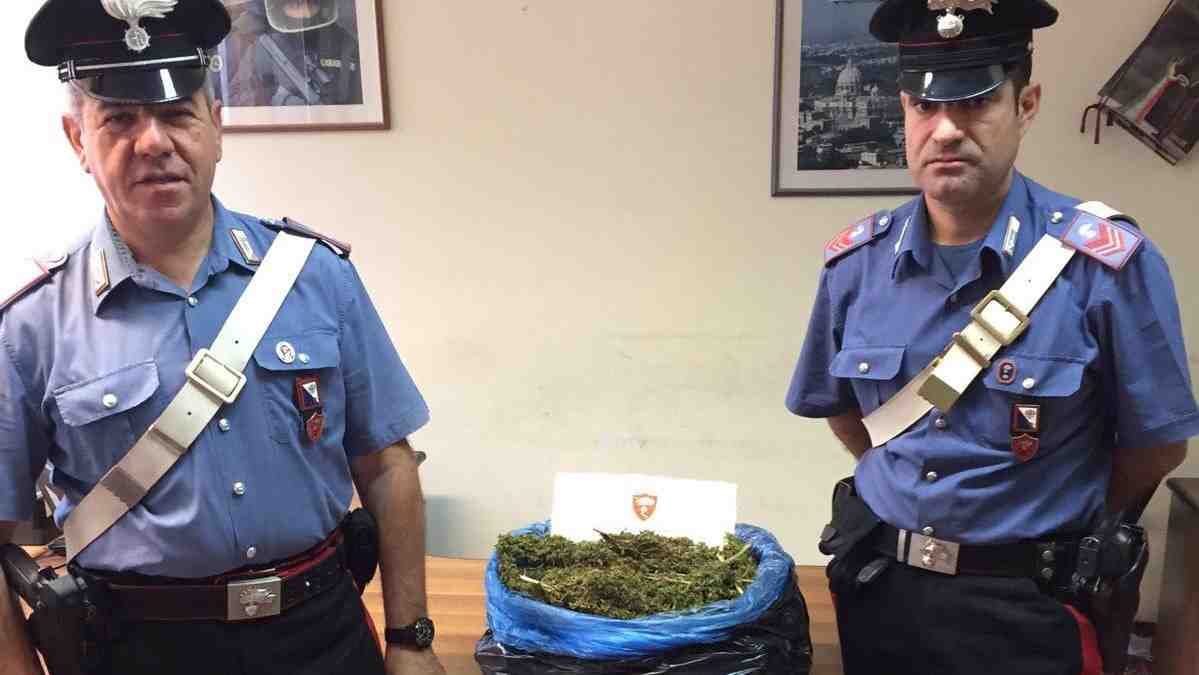 Carabinieri Marijuana