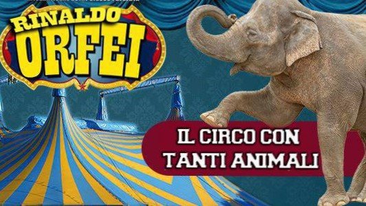 Circo Rinaldo Orfei