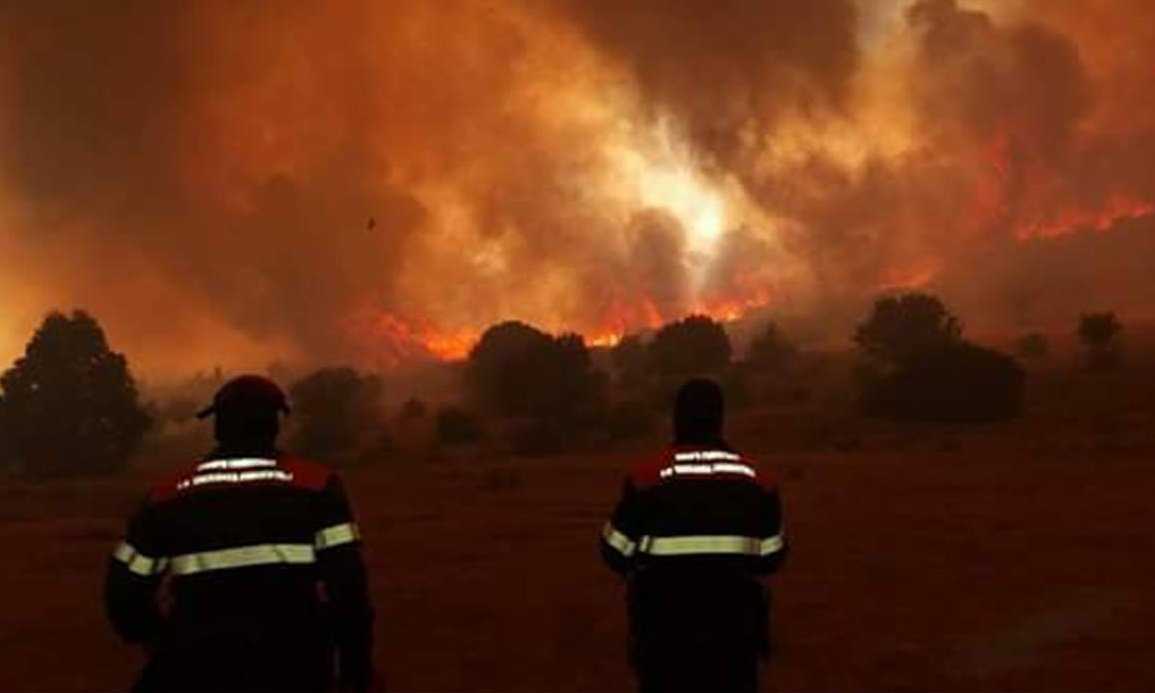 Incendio-Incendi-Sardegna-Forestale-Uno