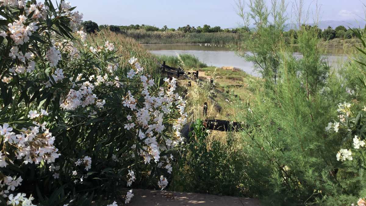 Ponte Terramaini 11 06 2018 2 Ponte-Terramaini-11-06-2018-2