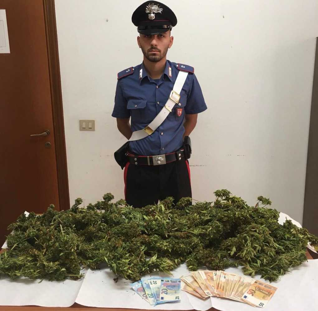 carabinieri-marijuana