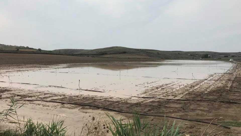 samassi