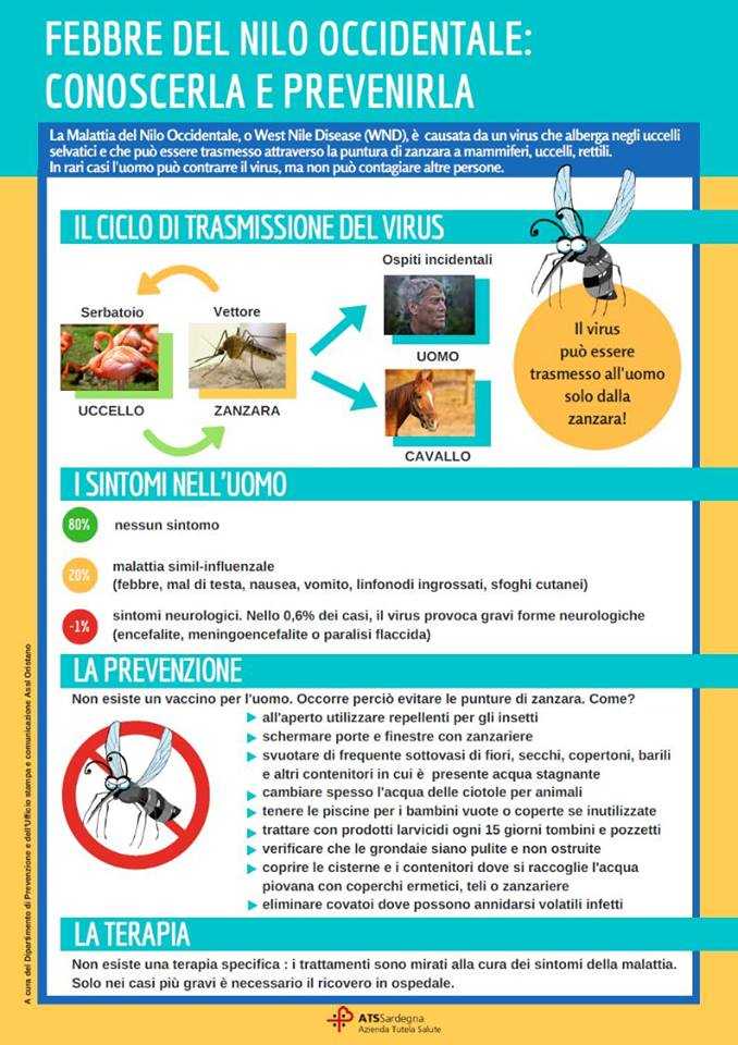 Febbre-del-Nilo-come-fare