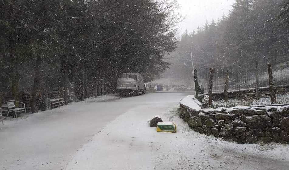 Neve Gennargentu Neve-Gennargentu