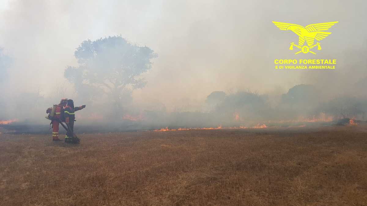 incendi-sardegna-corpo-forestale