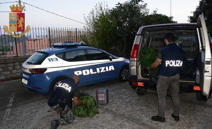 Sequestro-marijuana-Nuoro-Mobile