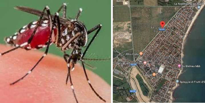 Dengue-123