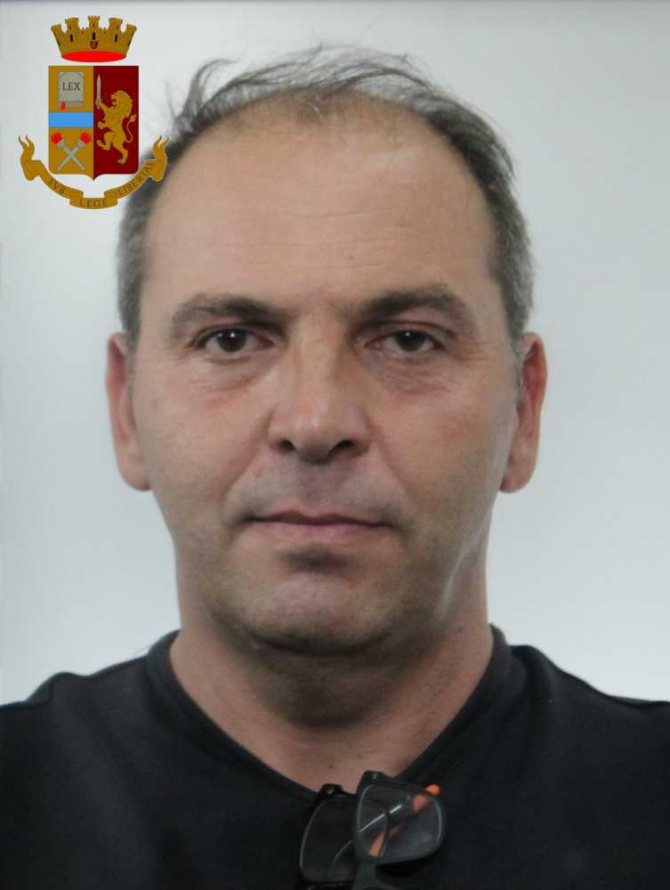 Roberto-perra