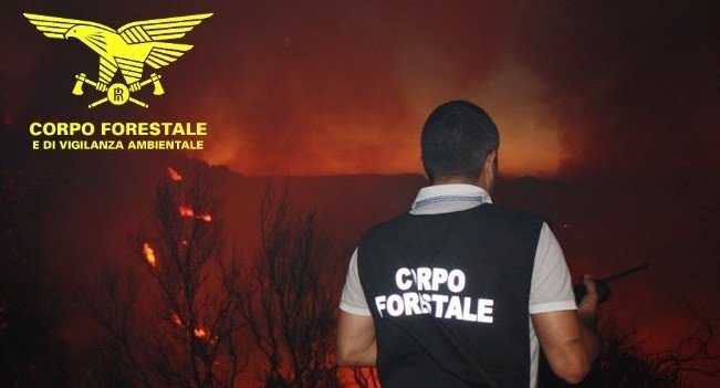corpo-forestale-incendi