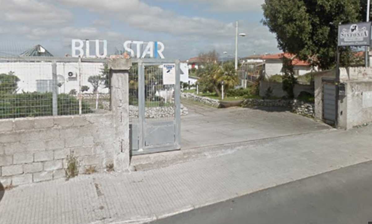 Blu Star Ossi Blu-Star-Ossi