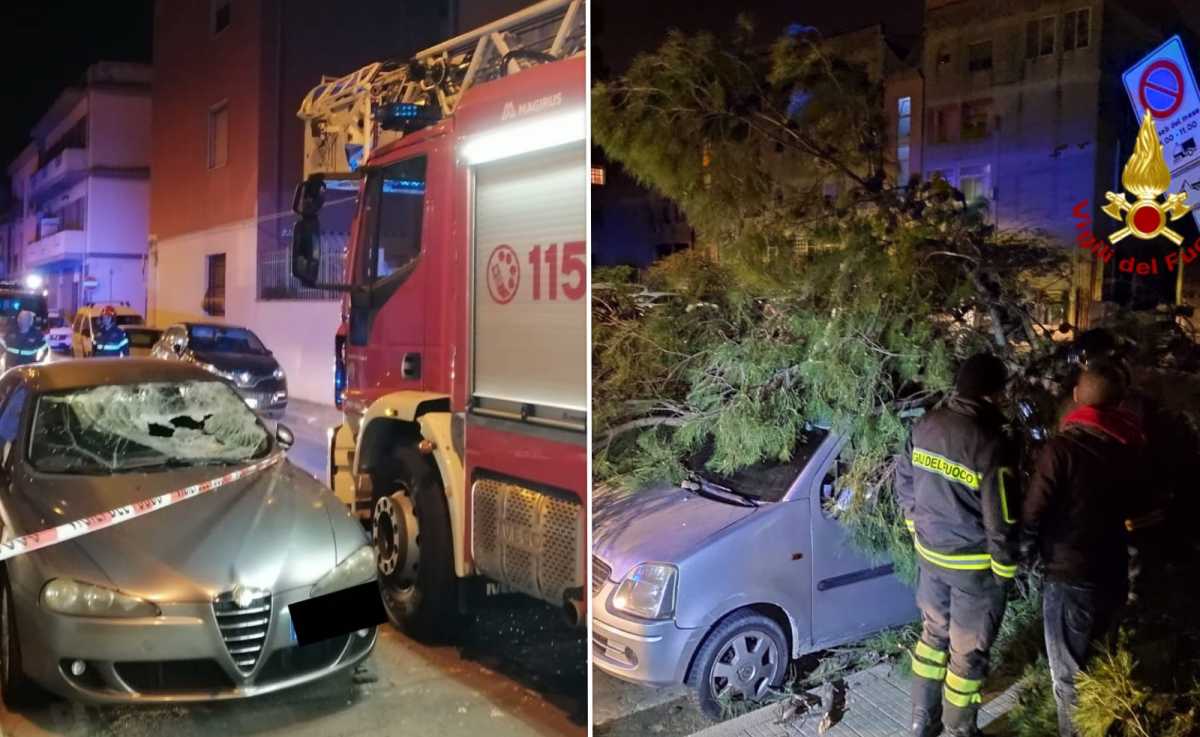 Alberi Crollati Auto Vvf Cagliari Oggi alberi-crollati-auto-vvf-cagliari-oggi