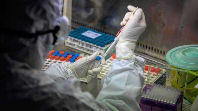 coronavirus-tamp