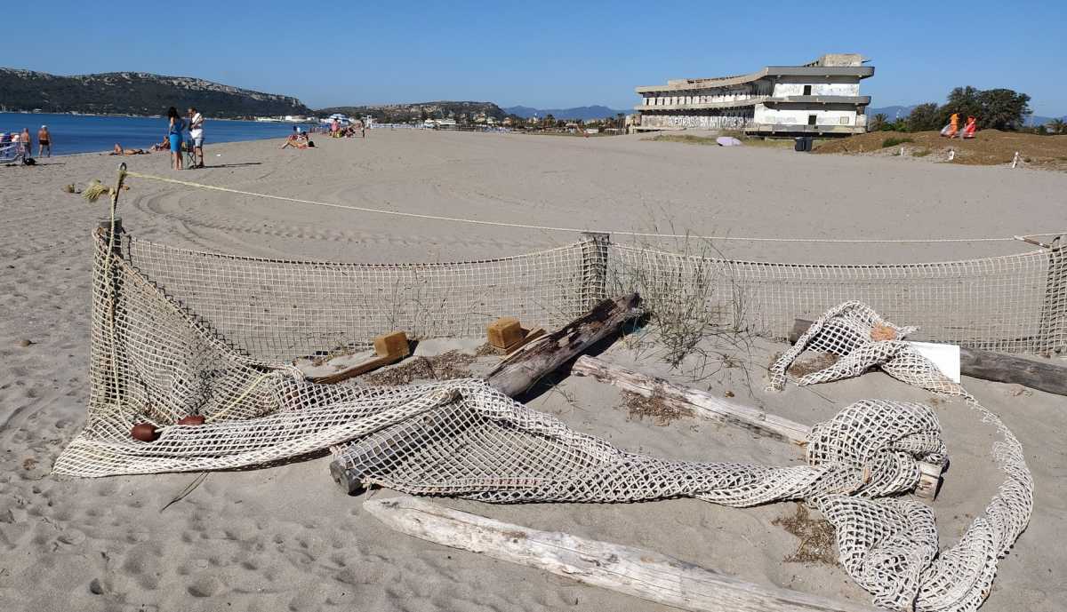 spiaggia-cani-poetto