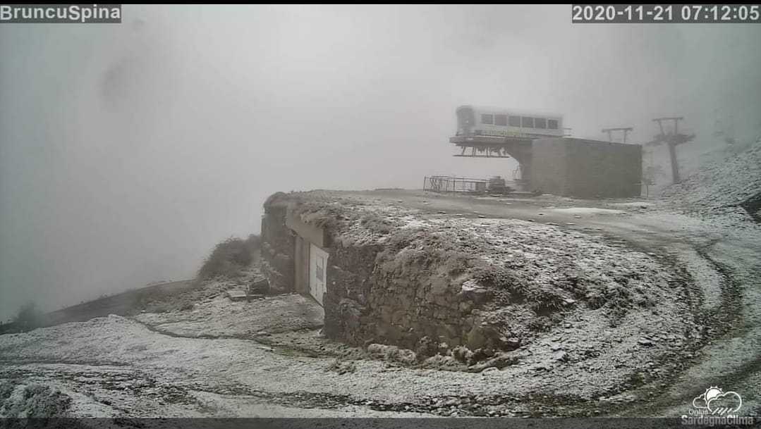 bruncuspina-neve-21-nov