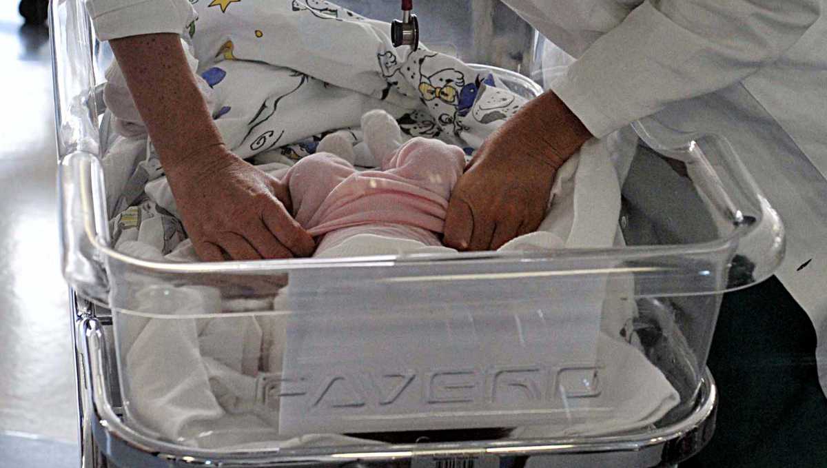 neonato