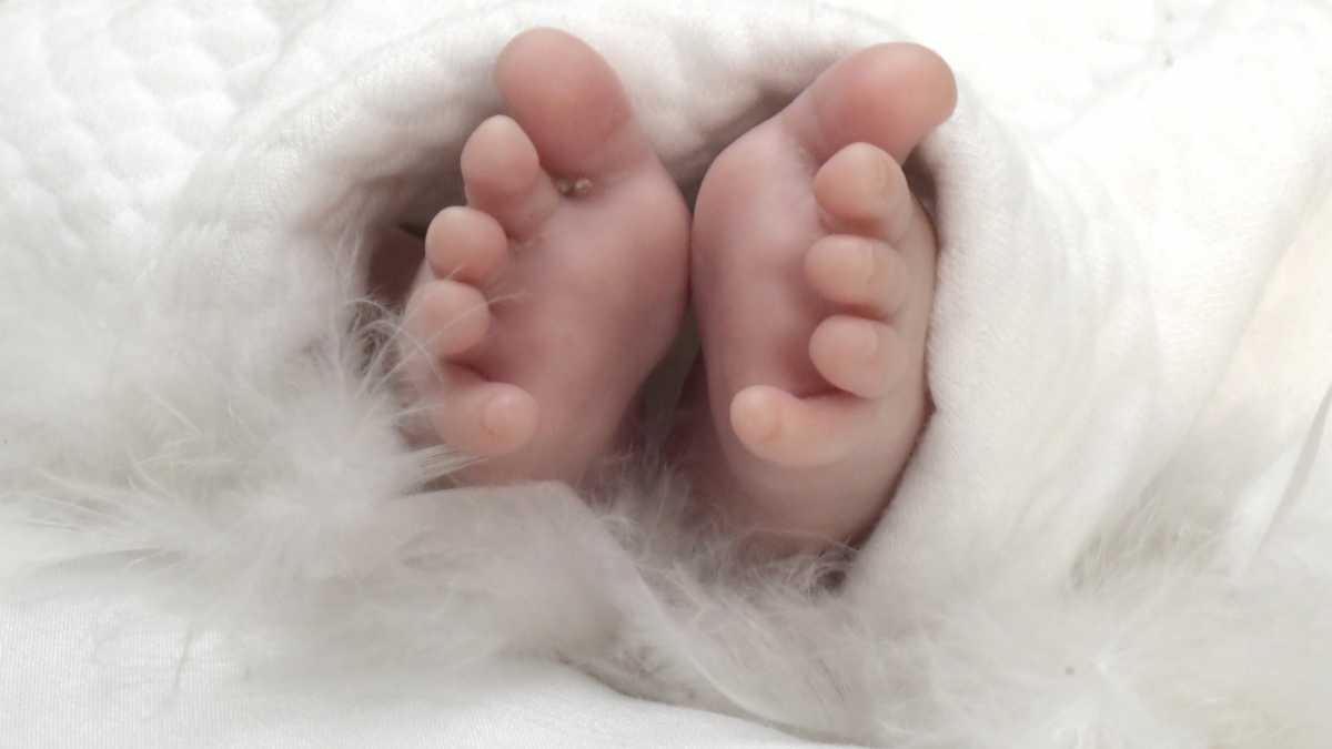neonato