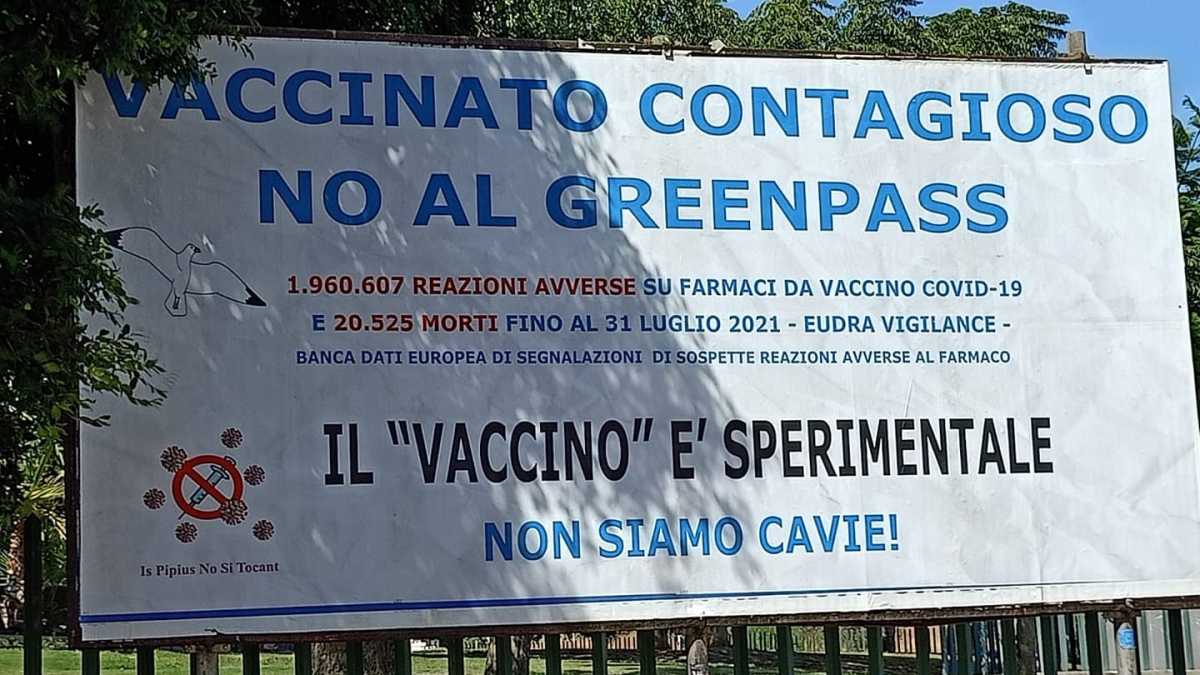 Pipius