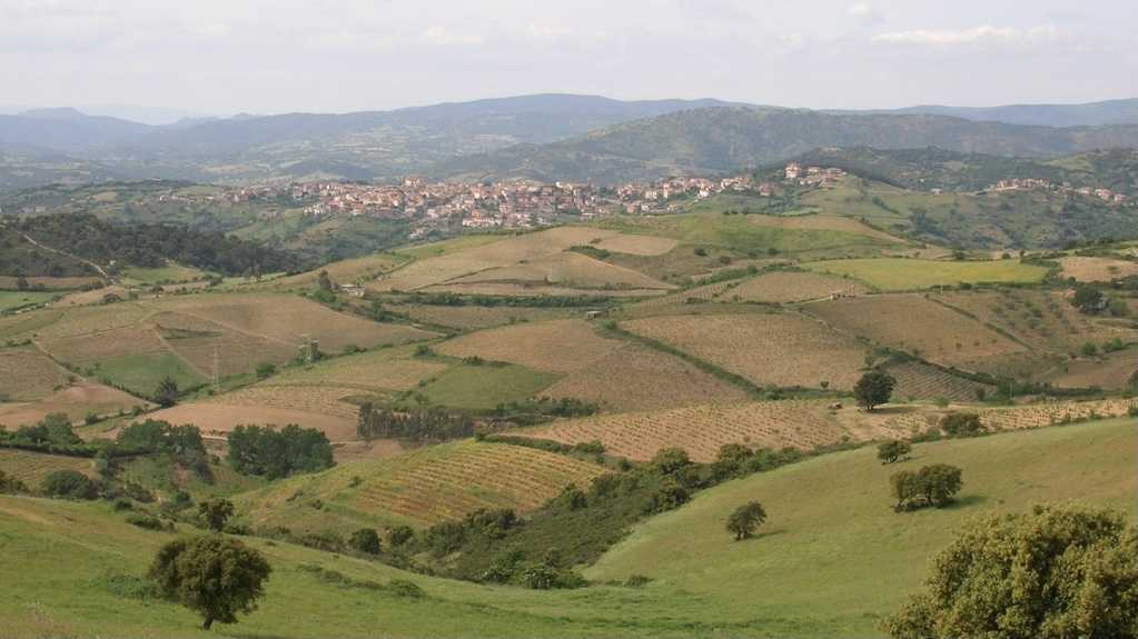 meana-sardo