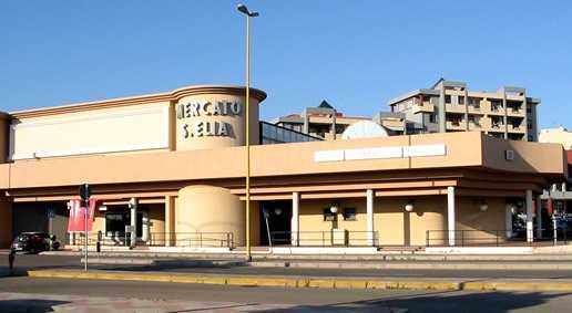 mercatoselia