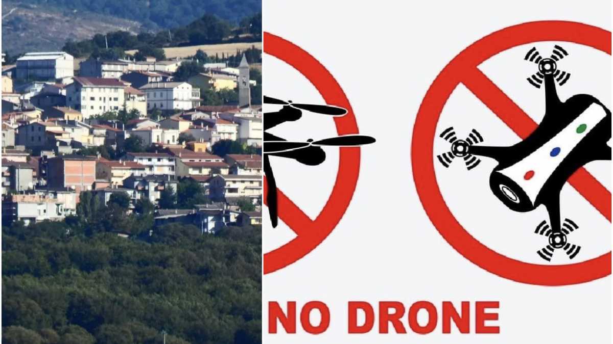 fonni-drone