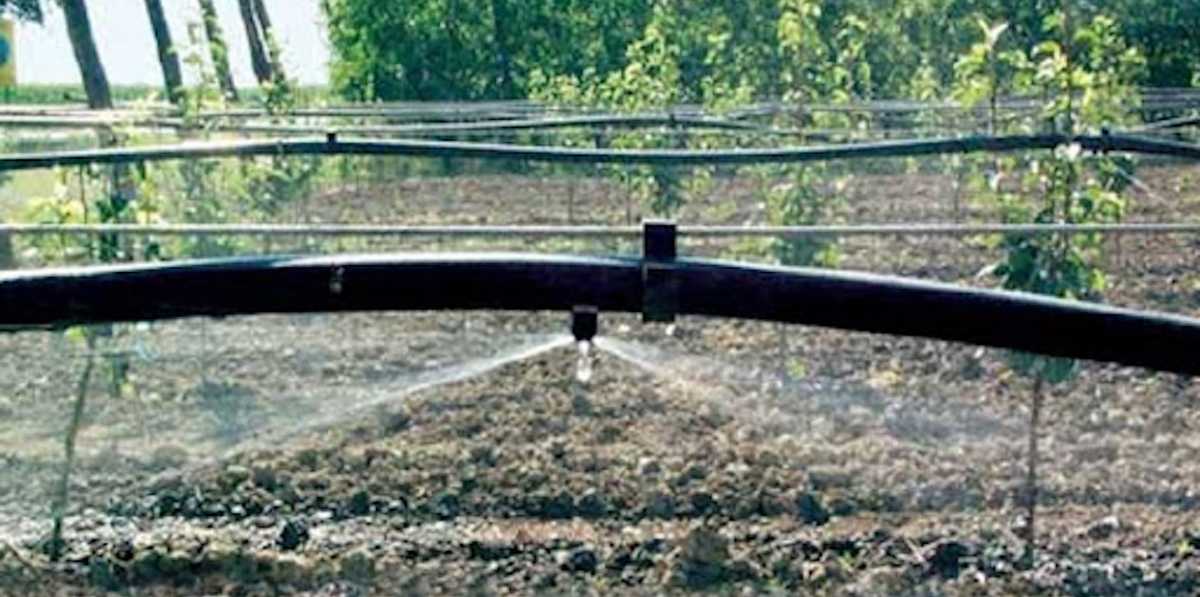 irrigatori-pioggia