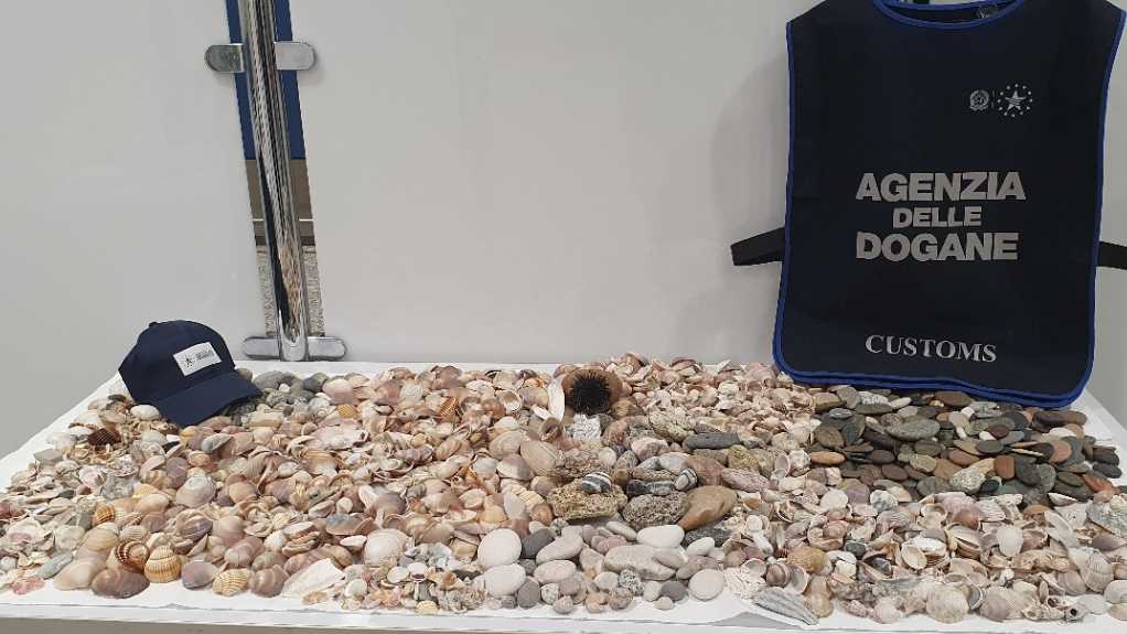 conchiglie-sequestrate