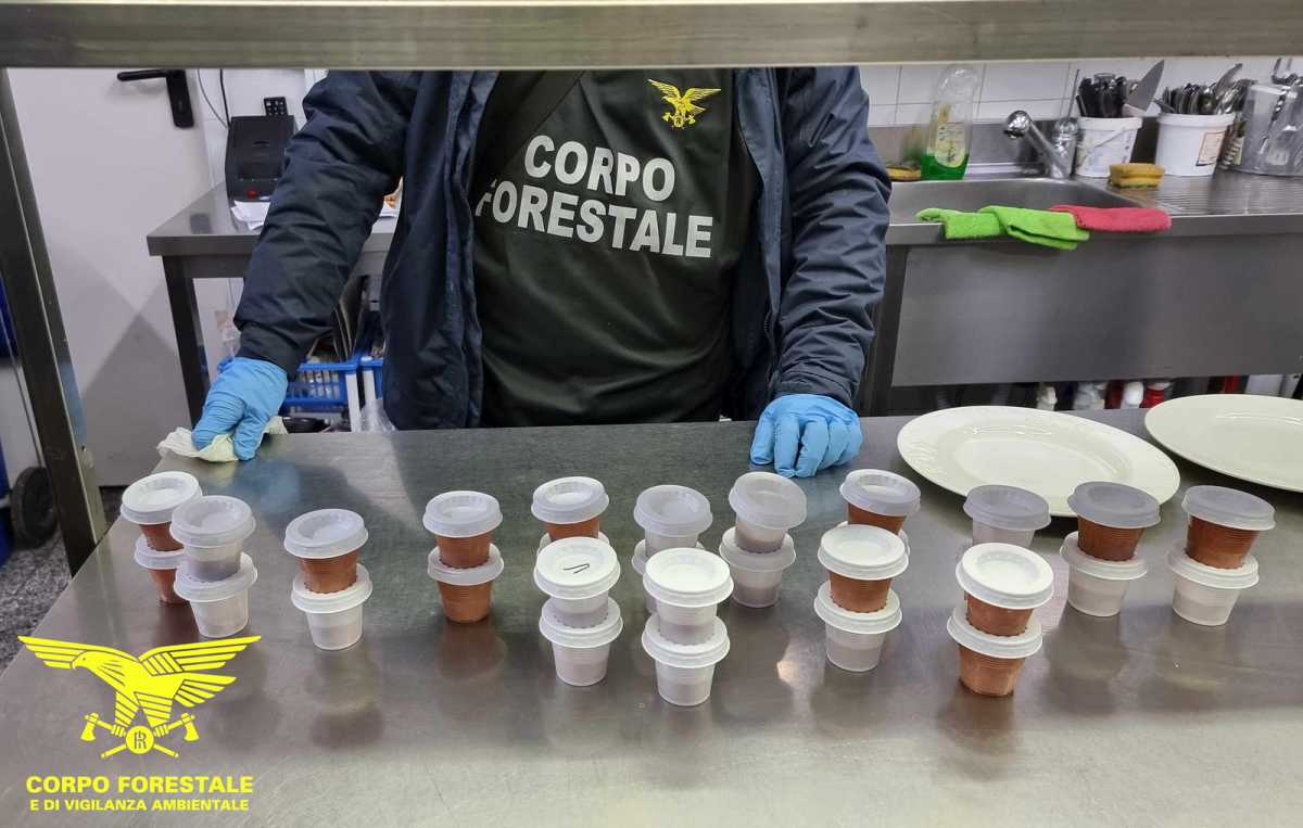 ricci-vasetti-corpo-forestale