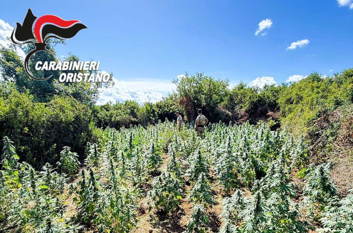 Scoperta Cc Ghilarza scoperta-cc-ghilarza