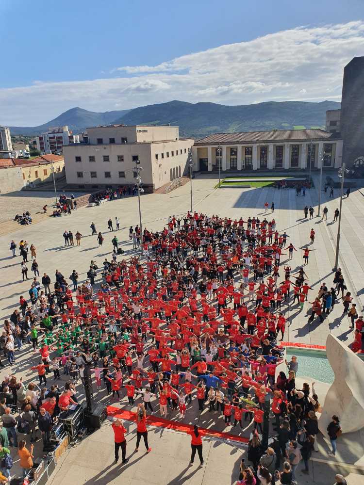 20231124113514 20231124113514