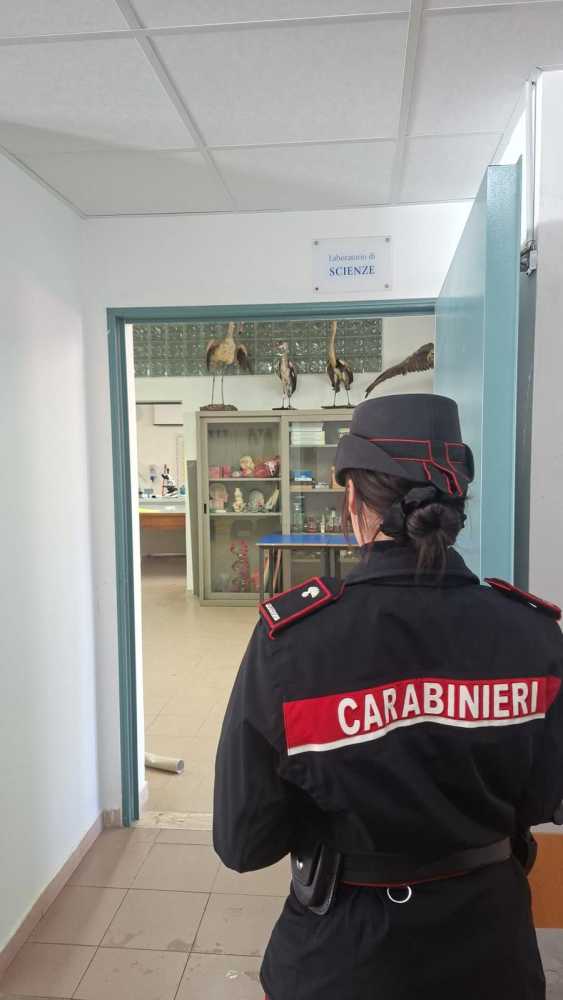 WhatsApp Image 2025 12 10 At 142106 WhatsApp-Image-2025-12-10-at-142106